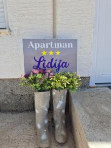 Apartman Lidija