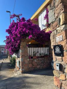 BouganVille holiday homes