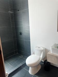Departamento Carranza en Tequisquiapan