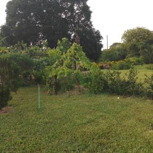 Shalom Wellspring Cottage