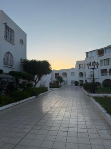 Apparemment Carthage land Yasmine Hammamet