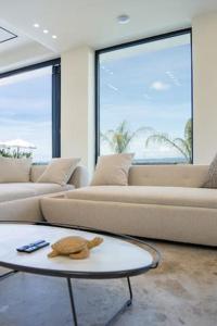 Durres Villa pool and garden