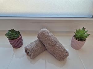Apartment Knittelfeld Mountain View near Red Bull Ring