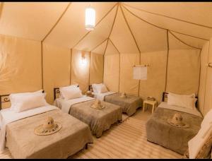 Merzouga Oasis luxury camp