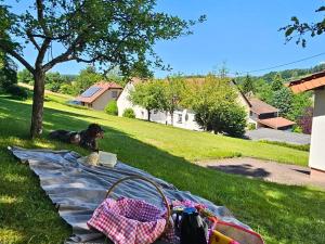 Ferienwohnung Schwarzhof- Hahnekräh am Bostalsee, helle 75 qm & hundefreundlich