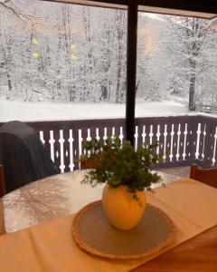 DEPARTAMENTO ACOGEDOR Y EXCLUSIV0 en Termas de Chillan, Ski, Spa, Naturaleza y mucho mas