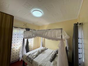 The Mimaced Homes 2B