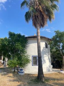 Oran House