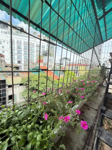 Lốp Homestay