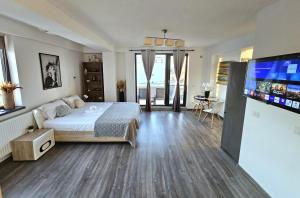 Studio Salonika, Mamaia Nord, Zona Alezzi