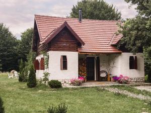 Cuib din Fagaras