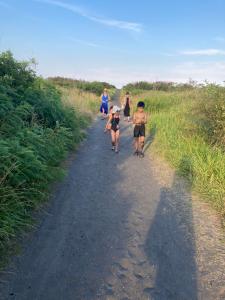 GOTO Beach Base 99-Beach 5m, Dog Run, BBQ & Bonfire