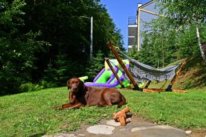 Wild House Szczyrk