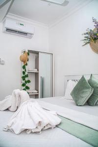 Mbuyu Taifa Greenview Mlandege Apartment