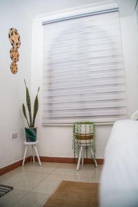 Mbuyu Taifa Greenview Mlandege Apartment