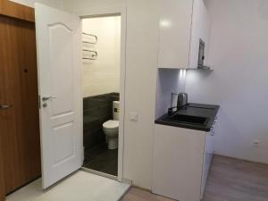 VILNIUS Central Apartmen