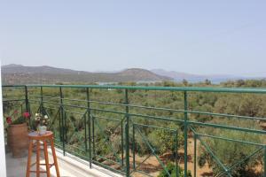 Dialinas Apartments Lasithi Greece