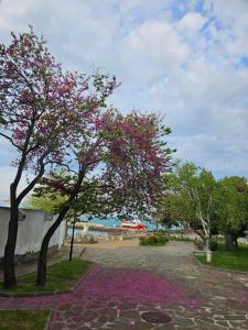 Studio Garden City Center Pomorie