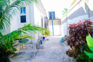 Ray Infinity Suites