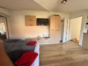 Magic Apartment