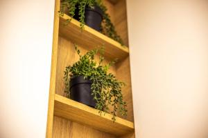 Modern 1BR Apt in Heart of City Private Parking Fast WiFi