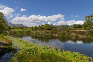 Winelands Golf Lodges 18