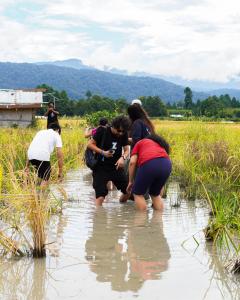 Camp Pineyard Ziro
