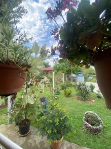 Chelo Guest House