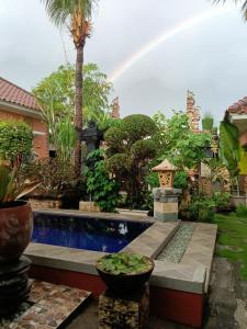 Umah kampung8