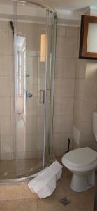 Vila Dedy