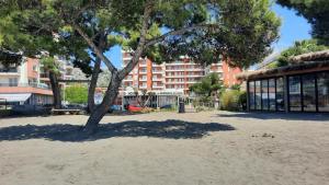 Tami Apartments