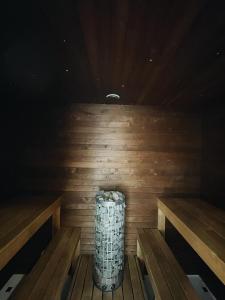 Cozy apartment with sauna and balcony