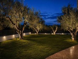 Olive Paradise Villa - Perfect Getaway with Pool by Villa Mana Gers