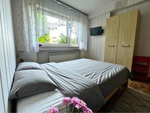 Pokoje Gościnne Joanna - Jezioro Żywieckie, Beskidy