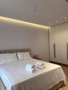 II - Nene Tereza Airport Apartment