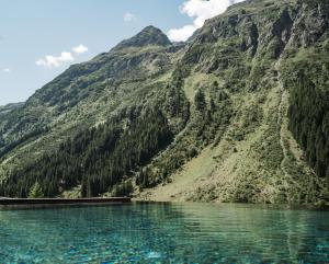 Alpine Resort Sportalm