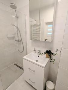 Modern 2-rm apt with Red Light Therapy panel