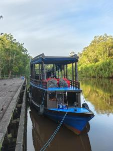 Kelotok Orangutan Tanjung Puting
