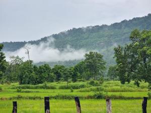 Cow Barn Cafe and Lodge Preah Vihear