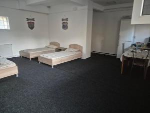 Romanescu Park Studio