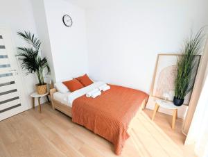 Modern 2-rm apt with Red Light Therapy panel