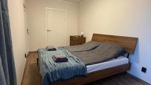 Apartment in city center, near Old Town Cesis
