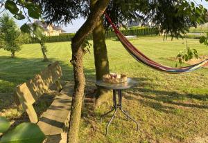 Apartament Przy Sosnach