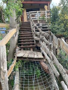 Evas Tree House by Villa Elaisa