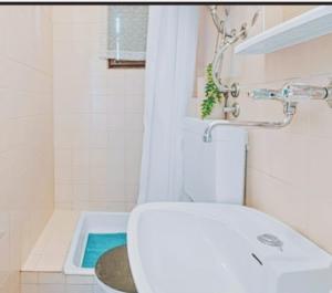 Apartman Arija-Pino
