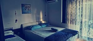 Apartman Arija-Pino