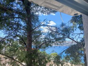 Apartman Seaesta Vito