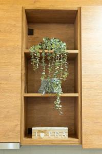 Irida Cozy Apartment