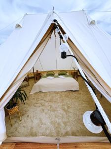 Mezi Vinicemi Glamp