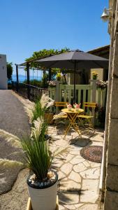 Anassa Nest